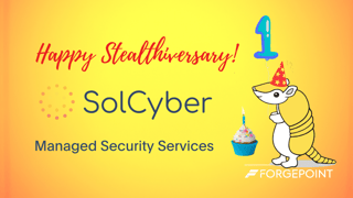 SolCyber - 1 Year (1)