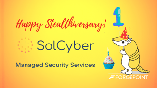 SolCyber - 1 Year (1)